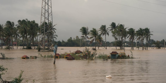 Arhavi’de Sel Alarmı: Üç Günlük Yağış Çay’ı Taşırdı, Araziler Sular Altında