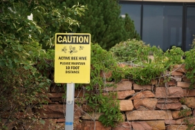 Disisleri8217nden-Turk-Vatandaslarina-Kritik-Uyari-Bati8217da-Artan-Riskler-featured