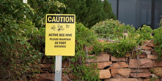 Dışişleri’nden Türk Vatandaşlarına Kritik Uyarı: Batı’da Artan Riskler