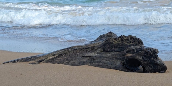 İran: Netanyahu’nun Ofisini Vurduk İddiası