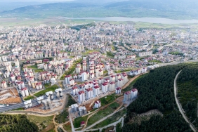 Sac-Uzamasini-Hizlandiran-Defne-Yapragi-Sirri-3-Ayda-Guclu-Saclar-featured