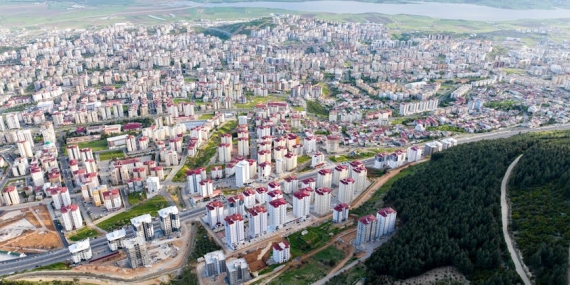 Saç Uzamasını Hızlandıran Defne Yaprağı Sırrı: 3 Ayda Güçlü Saçlar