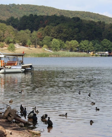 Sapanca-Golu8217ndeki-Kacak-Yapilara-Yikim-Tebligati-Cevre-Koruma-Hareketi-featured