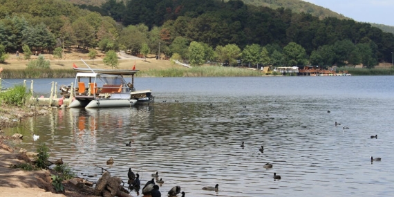 Sapanca Gölü’ndeki Kaçak Yapılara Yıkım Tebligatı: Çevre Koruma Hareketi